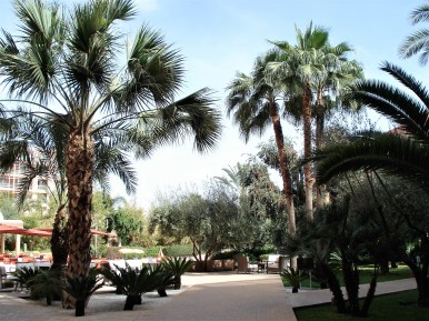 Marrakesh hotel courtyard