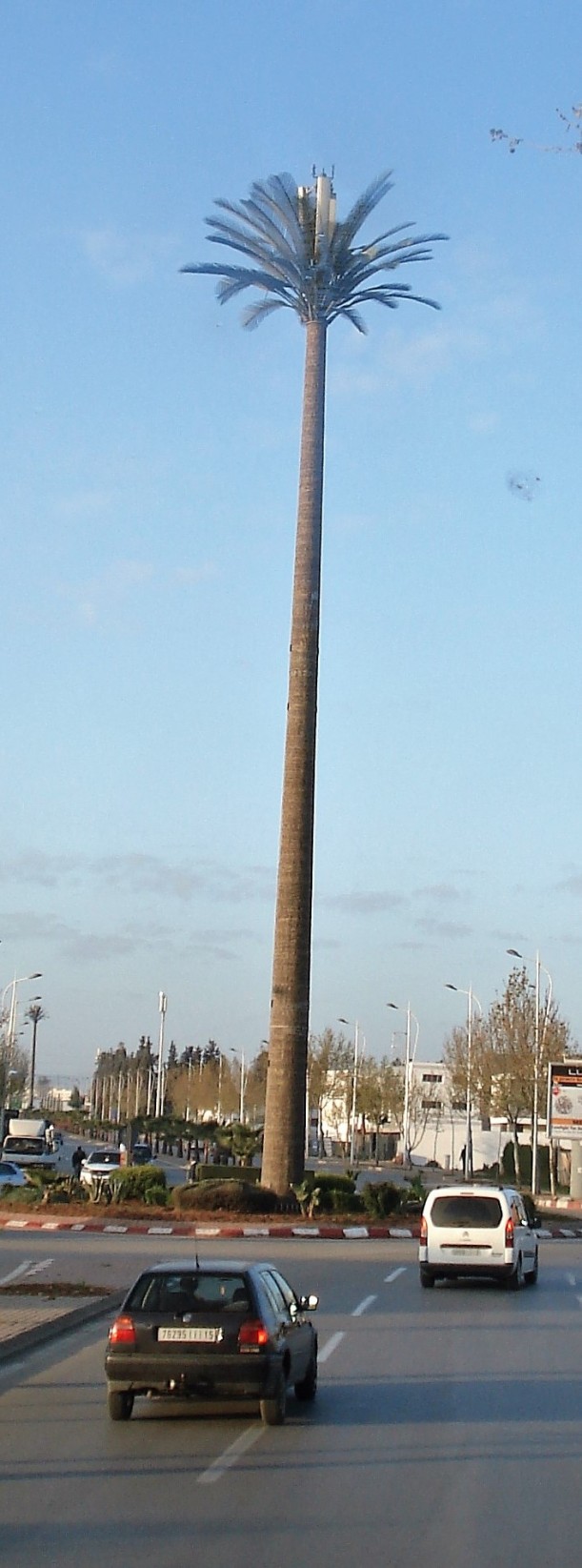Moroccan Cell Tower